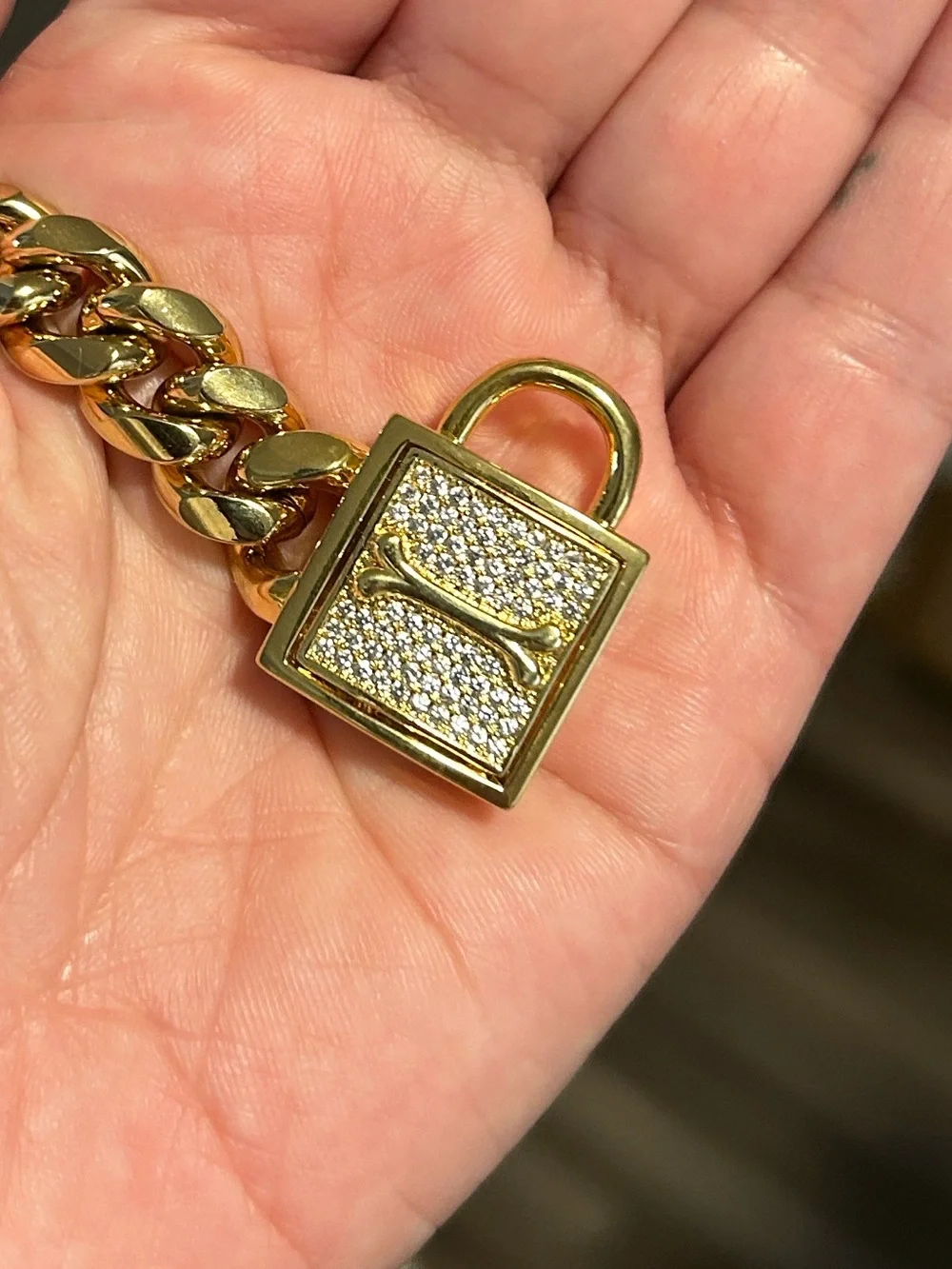 Chain dog collar with bling lock NIB